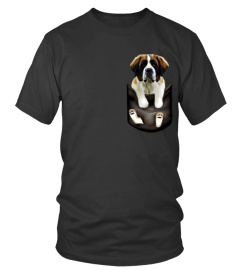 Limited Edition Saint Bernard