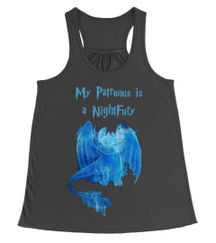 How To Train Your Dragon Graphic Tees by Kindastyle