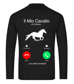 IL MIO CAVALLO