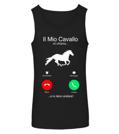 IL MIO CAVALLO