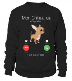 mon Chihuahua