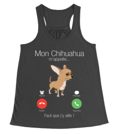 mon Chihuahua