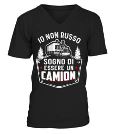 SOGNO DI ESSERE UN CAMION - CAMIONISTA