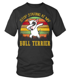 Stop Staring At My Bull Terrier