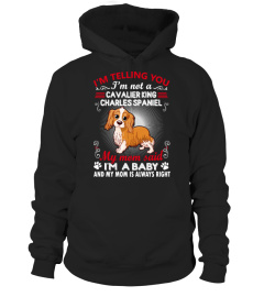 Cavalier King Charles Spaniel