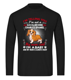 Cavalier King Charles Spaniel