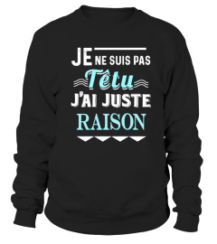 JE NE SUIS PAS TETU. J'AI JUSTE RAISON