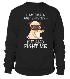 Small and Sentitive Dog