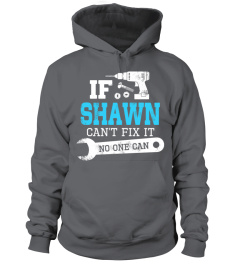 If Shawn can't fix it