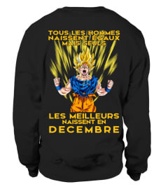 GOKU-DECEMBRE