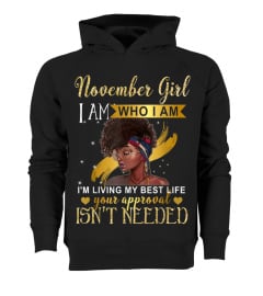 Shirts November Girl I'm Living My Best Life Birthday T-shirt4352 Cheap Shirt