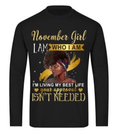 Shirts November Girl I'm Living My Best Life Birthday T-shirt4352 Cheap Shirt