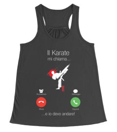 Il Karate