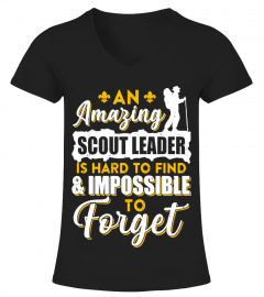 An Amazing Scout Leader Is Hard To Find