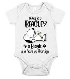 Beagle