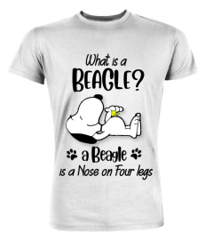 Beagle