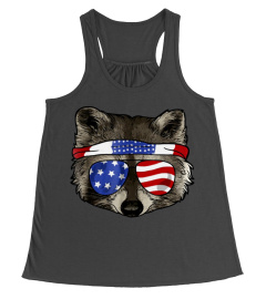 Raccoon American