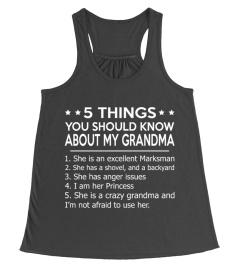 5 things you should know about my grandma shirt