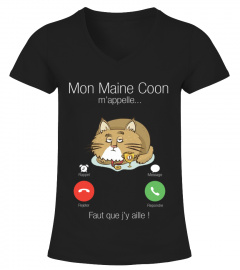Mon Maine coon