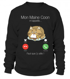 Mon Maine coon