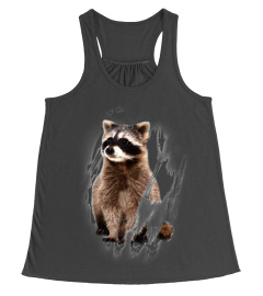 3D Raccoon