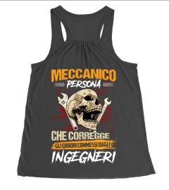 MECCANICO PERSONA CHE CORREGGE