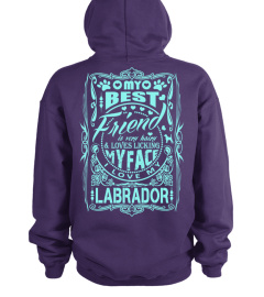 Labrador Tees and Hoodies BEST FRIEND