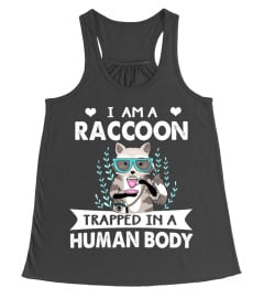 I Am A Raccoon