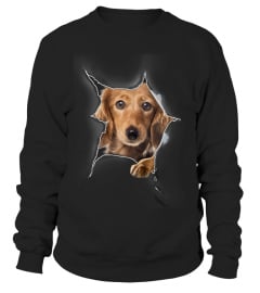 Dachshund 3D