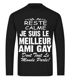 RESTÉ CALME JE SUIS LE MEILLEUR AMI GAY DONT TOUT LE MONDE PARLE T-SHIRT