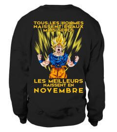 GOKU-NOVEMBRE