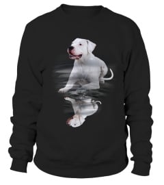 Dogo Argentino