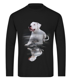 Dogo Argentino