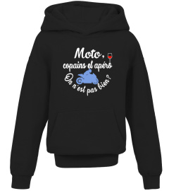 copains et apéro-moto