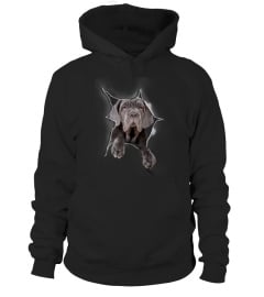 Neapolitan Mastiff 3D