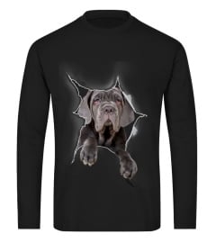 Neapolitan Mastiff 3D