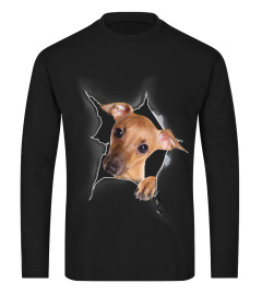 Italian Greyhound 3D