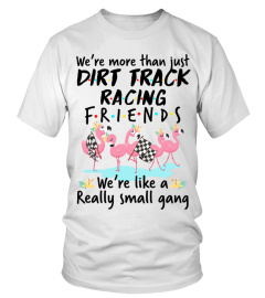 Dirt Track Racing Friends