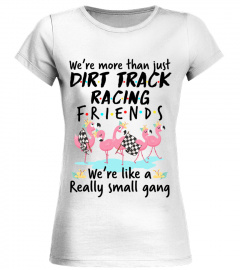 Dirt Track Racing Friends