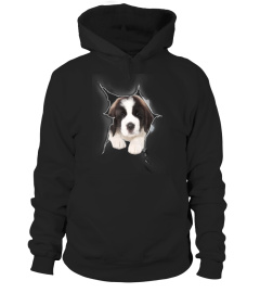 Saint Bernard 3D