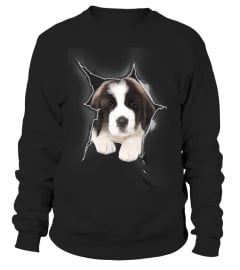 Saint Bernard 3D