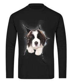 Saint Bernard 3D