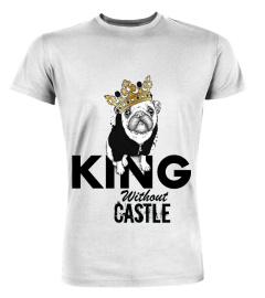 King Without Castle