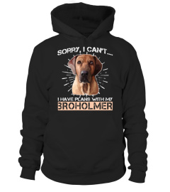 Sorry, I Can't I Have Plans With My BROHOLMER Tshirt Funny Gifts