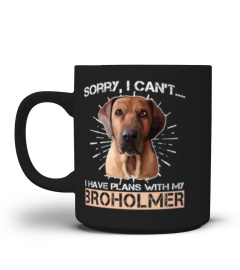 Sorry, I Can't I Have Plans With My BROHOLMER Tshirt Funny Gifts