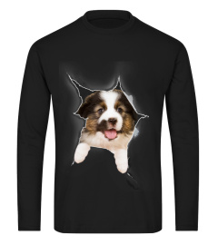 Australian Shepherd 3D