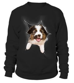 Australian Shepherd 3D