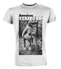 American Stafford Shirt Murphy