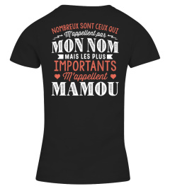 IMPORTANTS M'APPELLENT MAMOU