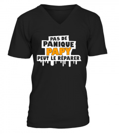 PAS DE PANIQUE PAPY